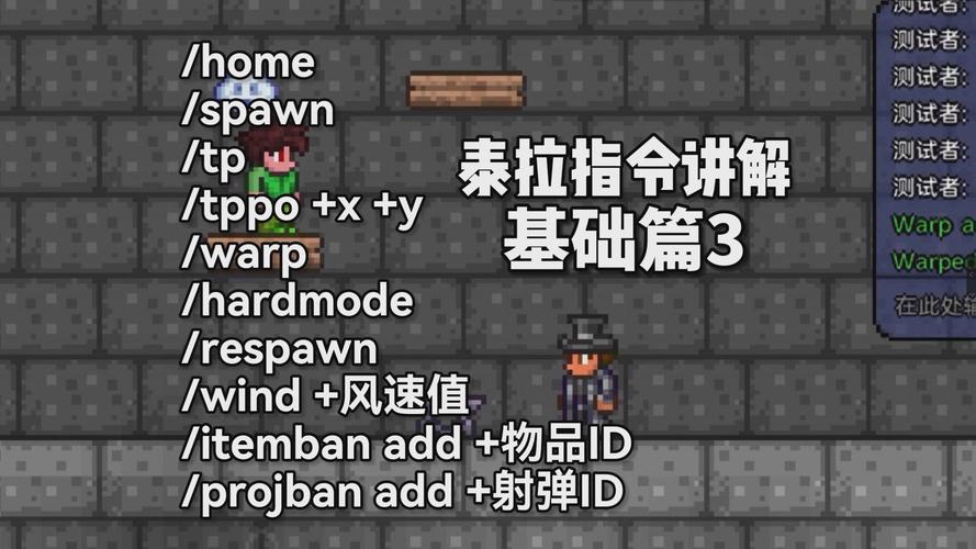泰拉瑞亚指令没有权限怎么办