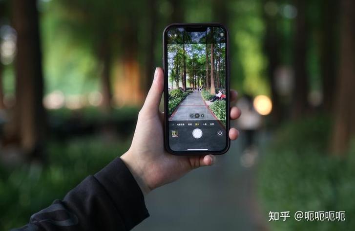 苹果实景照片怎么设置
