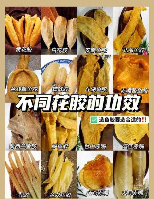 女人吃鱼胶的最佳时间