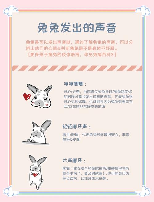 兔兔语音包APP下载