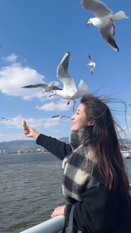 喜欢海鸥的女生的性格