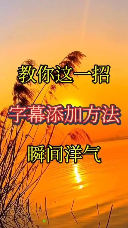 抖音怎么添加字幕