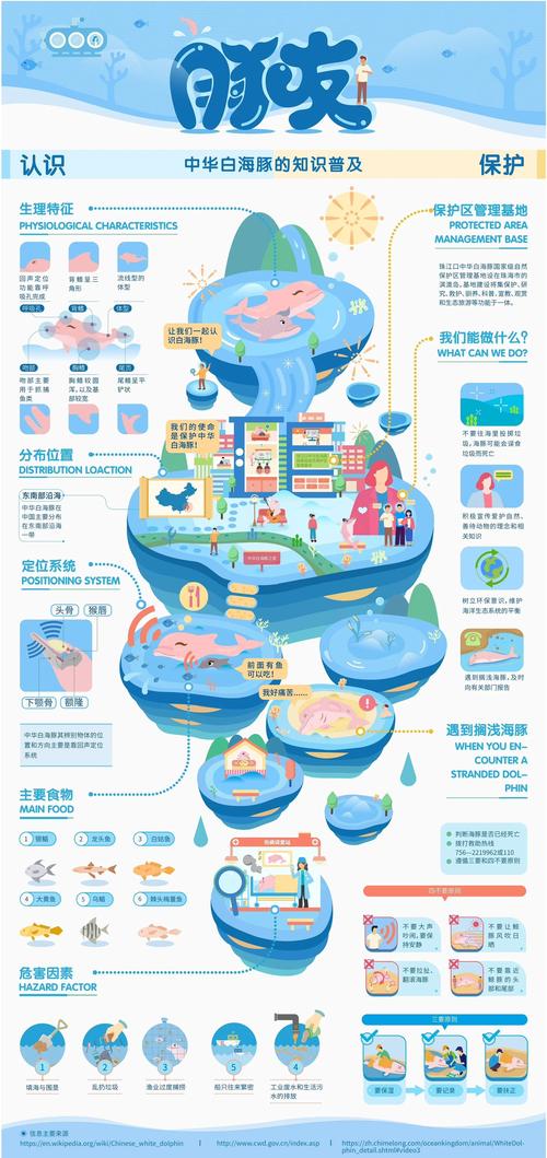 天梭表背面信息注解