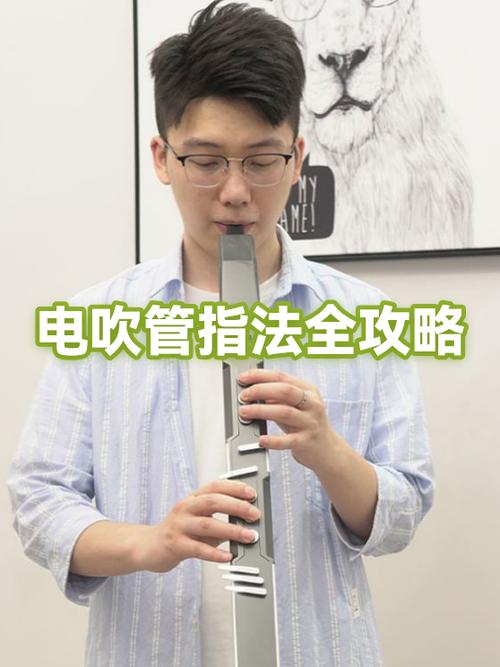 电吹管入门指法教学视频
