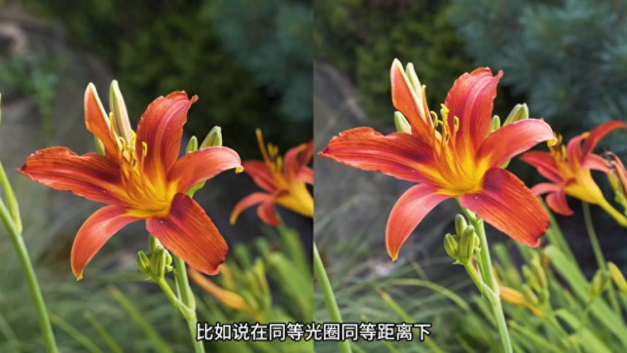 摄影背景虚化的几种方式