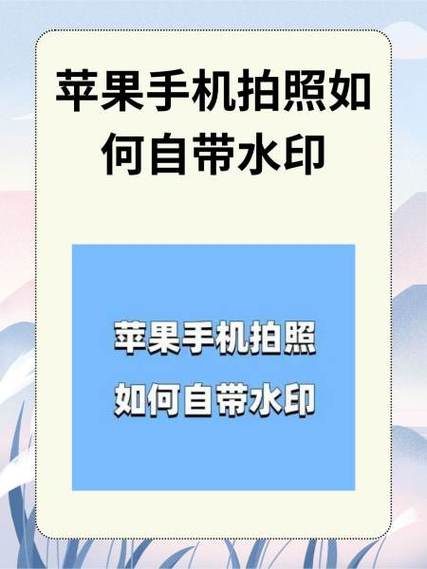 苹果手机拍照更多功能在哪里