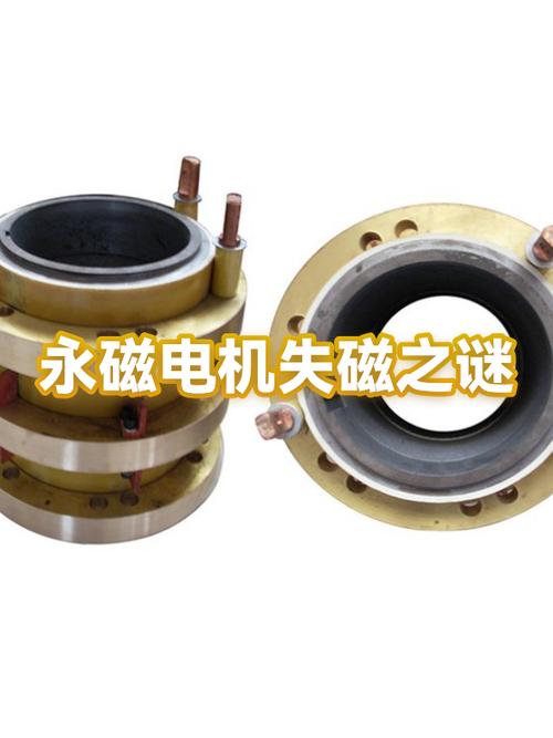 永磁电机失磁的恢复方法