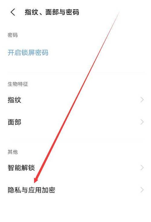 vivo手机隐藏空间怎么打开