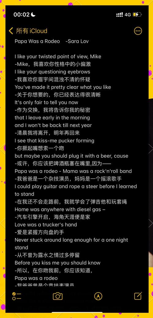 vagrant这首歌的深层含义