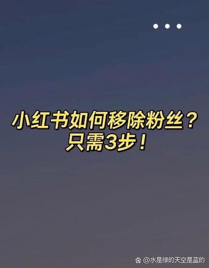 如何将小红书更新到最新版本