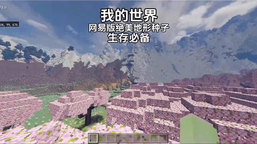 我的世界平原种子大全