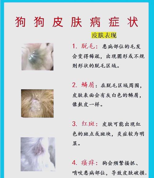 狗狗得细小的症状