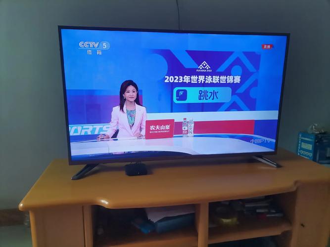 cctv5+(手机版)在线观看