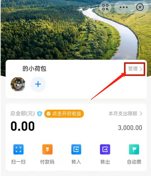 支付宝小荷包如何修改转入金额