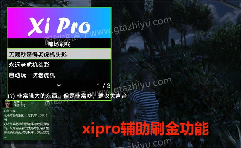 xiPro辅助官方网站进入