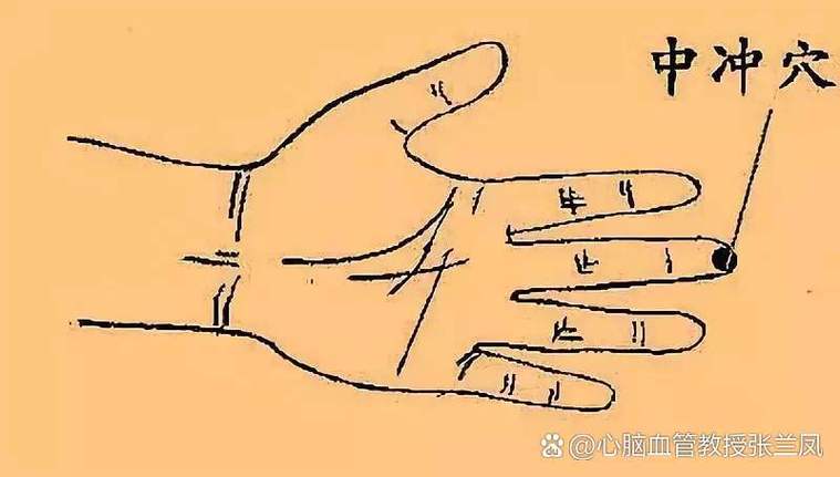 降心率小窍门