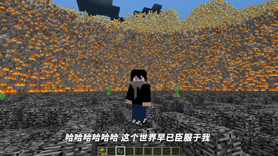 我的世界阿阳1.16生存日记