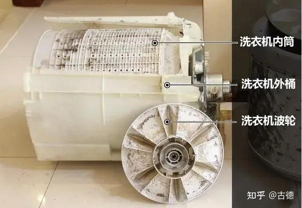 洗衣机的免清洗什么意思