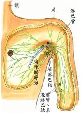 胳膊窝瘙痒怎么回事