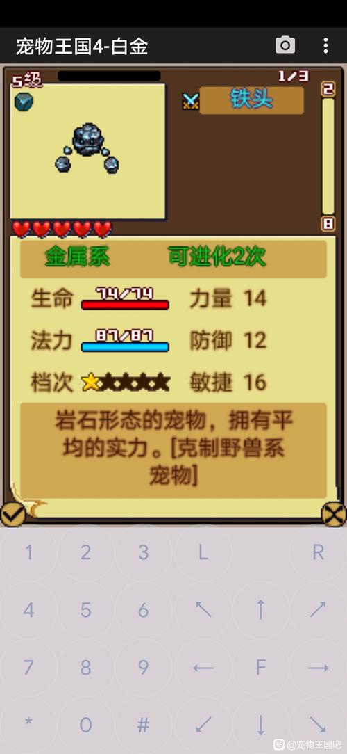 宠物王国4全宠物