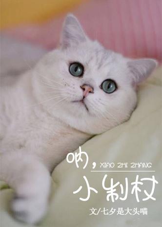 七夕是大头喵