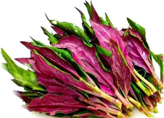 红色蔬菜有哪几种