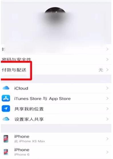 iphone付款与配送显示无效