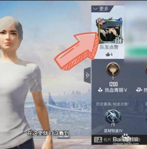 和平精英怎么单独改头像