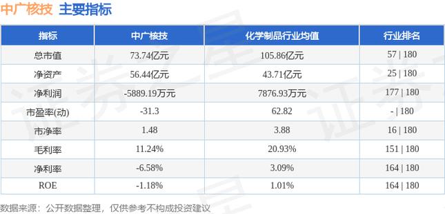 中广核技注入资产