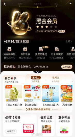 黑钻会员是什么意思