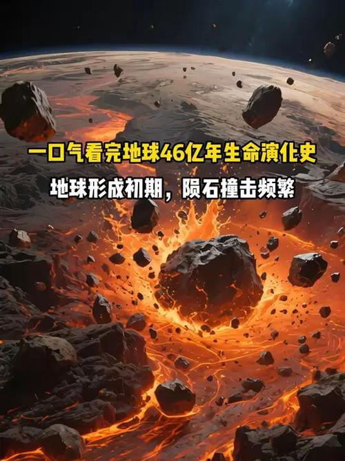 地球生命史在线观看