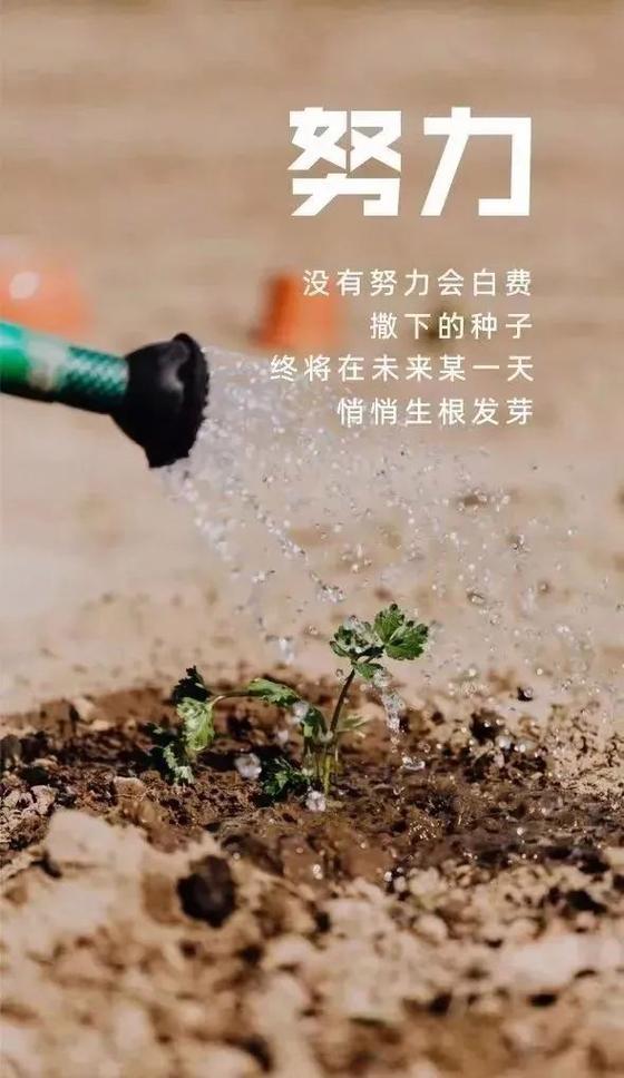 充满正能量的励志句子