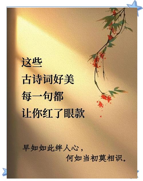 表达爱意的四字诗句