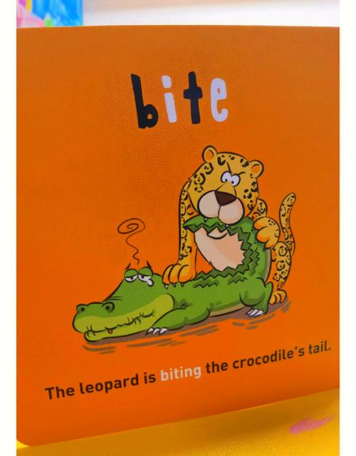 bite英文