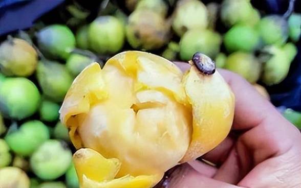 竹节果多少钱一斤