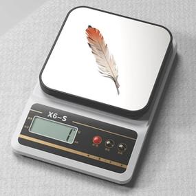 称重电子秤