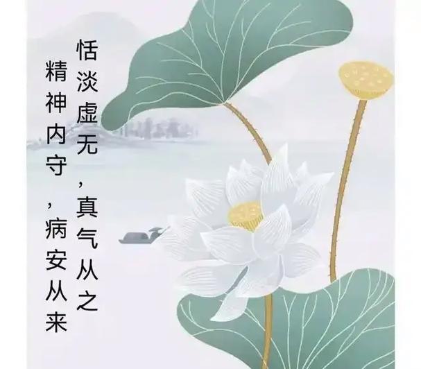 有真气后是啥感觉