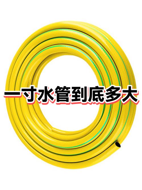 那个水管没有蓝牙能连接上水管吗