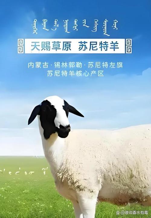 内蒙古十大羊肉品牌