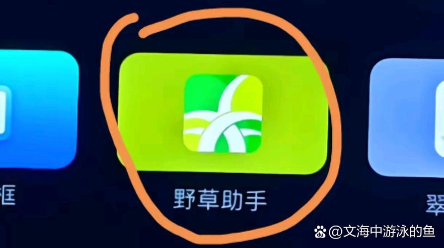 野草助手无法安装软件