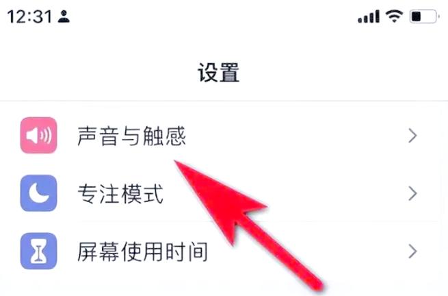 苹果手机可以只震动不响铃吗