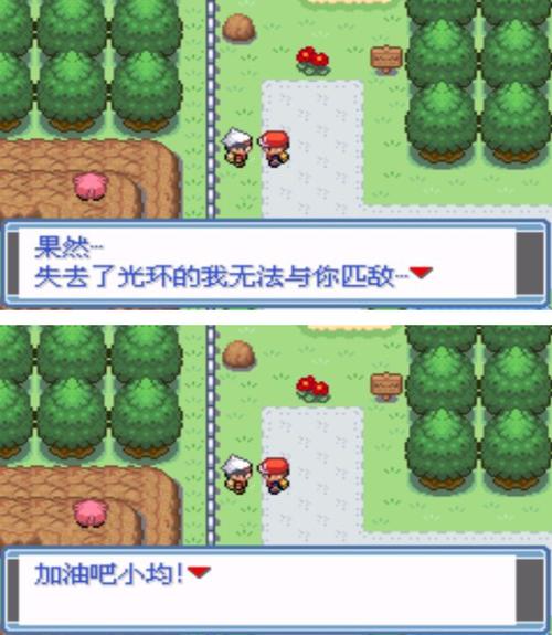 口袋妖怪永恒之焱老版
