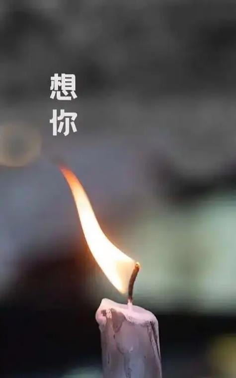 怀念与思念的区别