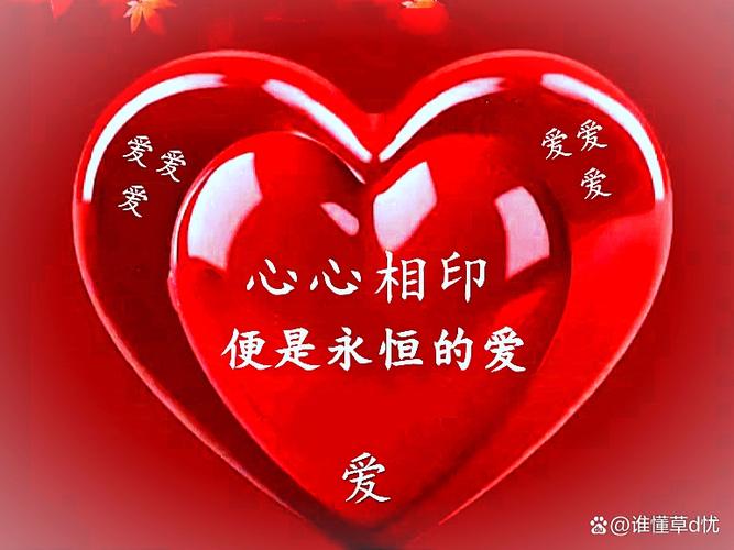 岁岁想念全集免费看