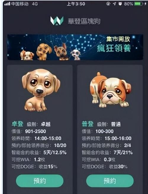 华登区块狗大团队转移