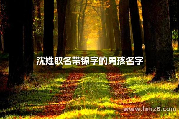锦字最旺的男孩名字