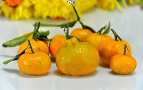 小橘子叫什么