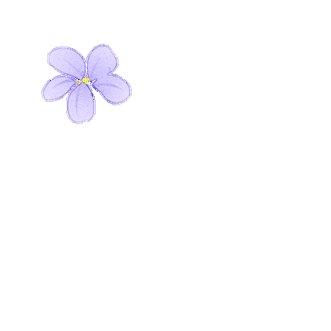 花瓣主题动态引擎有什么用