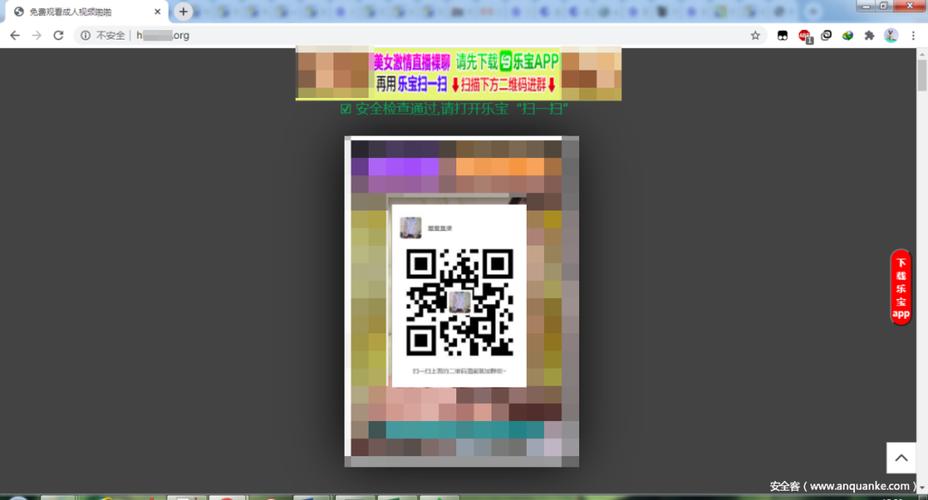 hviewer有效二维码