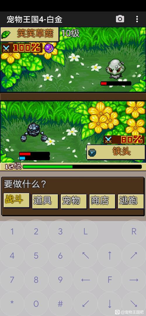 宠物王国4攻略
